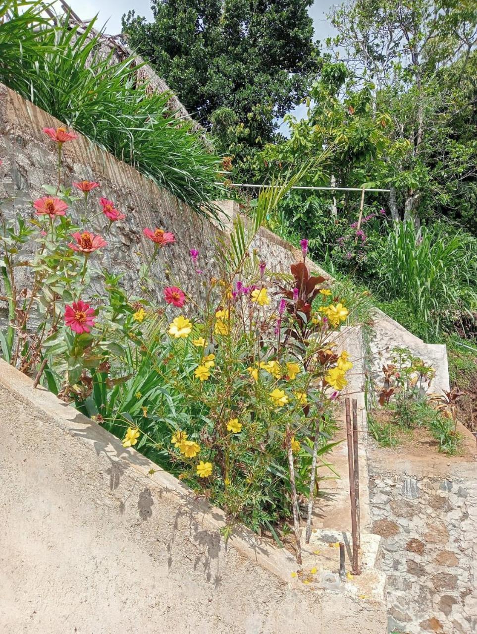 Tiu Kelep Homestay Senaru Exterior photo